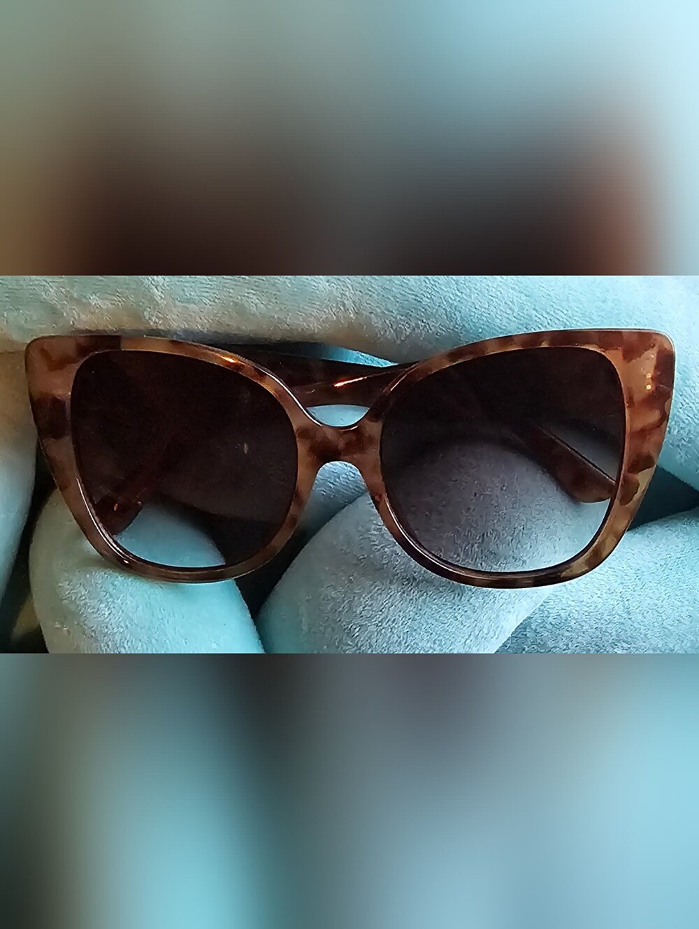ALDO Tortoiseshell Women’s Sunglasses